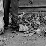 16 de novembro de…